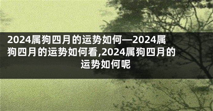 2024属狗四月的运势如何—2024属狗四月的运势如何看,2024属狗四月的运势如何呢