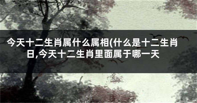 今天十二生肖属什么属相(什么是十二生肖日,今天十二生肖里面属于哪一天