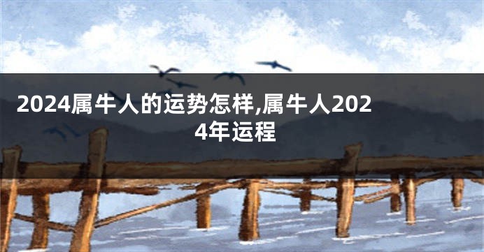 2024属牛人的运势怎样,属牛人2024年运程