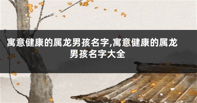 寓意健康的属龙男孩名字,寓意健康的属龙男孩名字大全