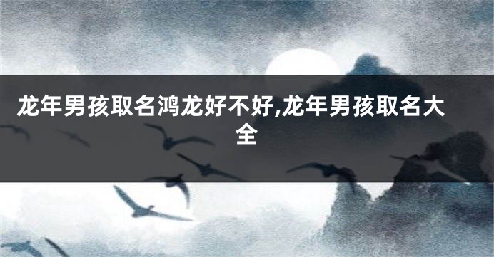 龙年男孩取名鸿龙好不好,龙年男孩取名大全