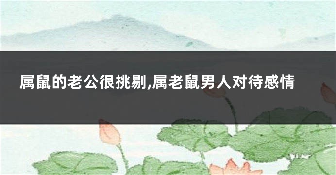 属鼠的老公很挑剔,属老鼠男人对待感情