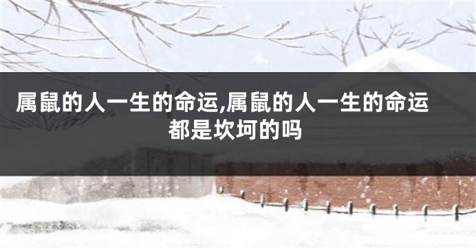 属鼠的人一生的命运,属鼠的人一生的命运都是坎坷的吗