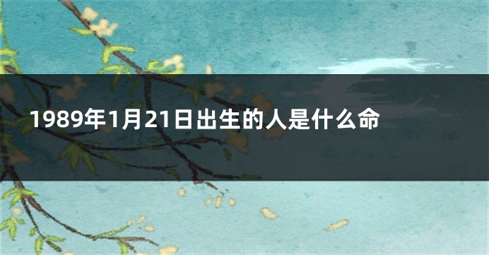 1989年1月21日出生的人是什么命