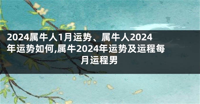 2024属牛人1月运势、属牛人2024年运势如何,属牛2024年运势及运程每月运程男