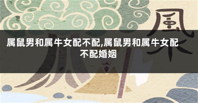 属鼠男和属牛女配不配,属鼠男和属牛女配不配婚姻