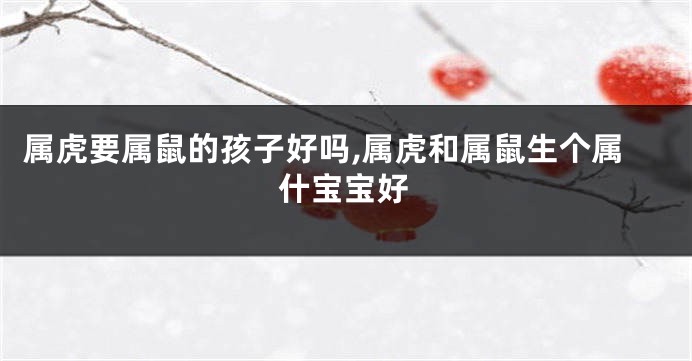 属虎要属鼠的孩子好吗,属虎和属鼠生个属什宝宝好