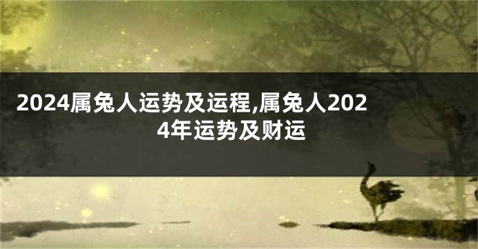 2024属兔人运势及运程,属兔人2024年运势及财运