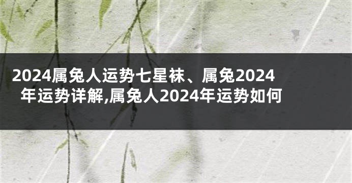 2024属兔人运势七星袜、属兔2024年运势详解,属兔人2024年运势如何