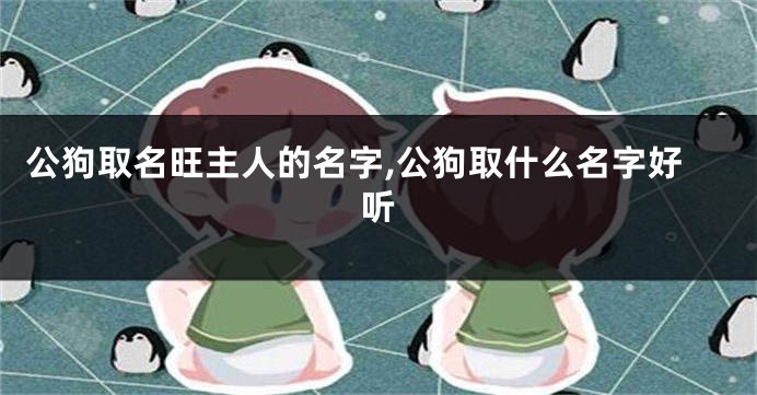 公狗取名旺主人的名字,公狗取什么名字好听