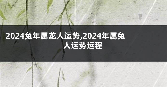 2024兔年属龙人运势,2024年属兔人运势运程