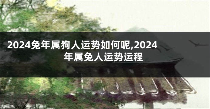 2024兔年属狗人运势如何呢,2024年属兔人运势运程