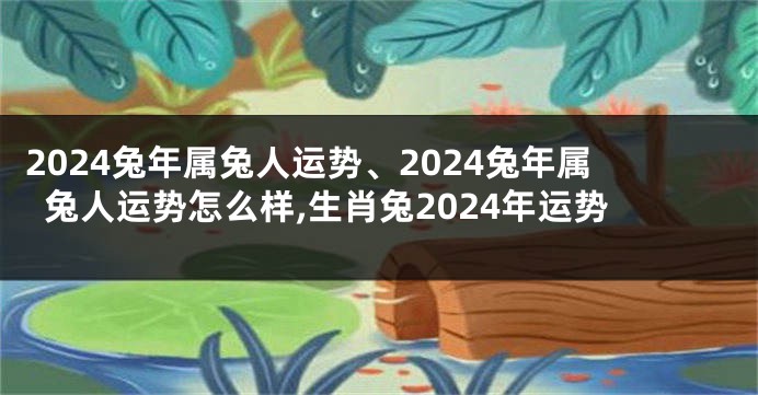 2024兔年属兔人运势、2024兔年属兔人运势怎么样,生肖兔2024年运势