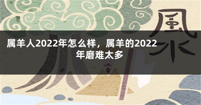 属羊人2022年怎么样，属羊的2022年磨难太多