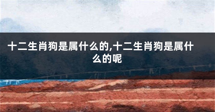 十二生肖狗是属什么的,十二生肖狗是属什么的呢