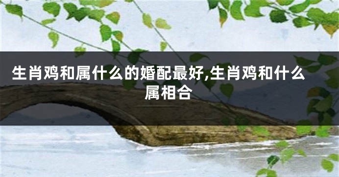 生肖鸡和属什么的婚配最好,生肖鸡和什么属相合