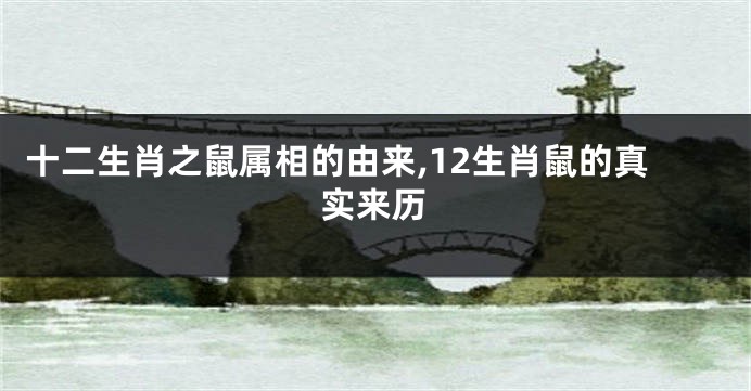 十二生肖之鼠属相的由来,12生肖鼠的真实来历