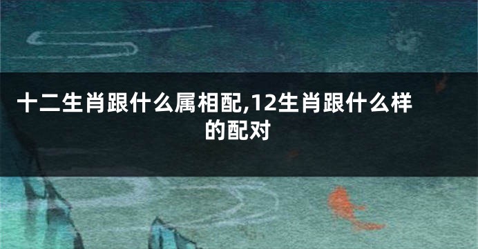 十二生肖跟什么属相配,12生肖跟什么样的配对