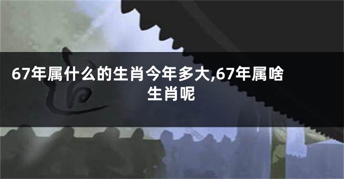 67年属什么的生肖今年多大,67年属啥生肖呢
