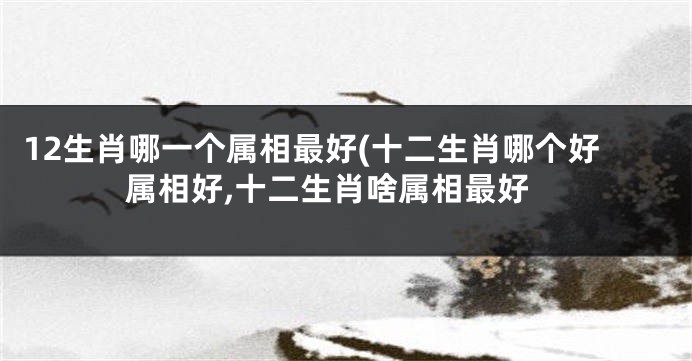 12生肖哪一个属相最好(十二生肖哪个好属相好,十二生肖啥属相最好