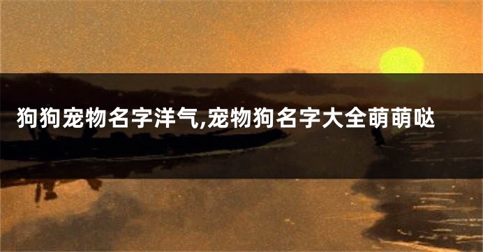 狗狗宠物名字洋气,宠物狗名字大全萌萌哒