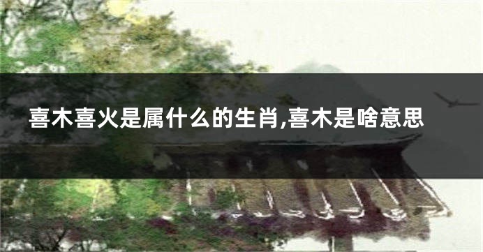 喜木喜火是属什么的生肖,喜木是啥意思