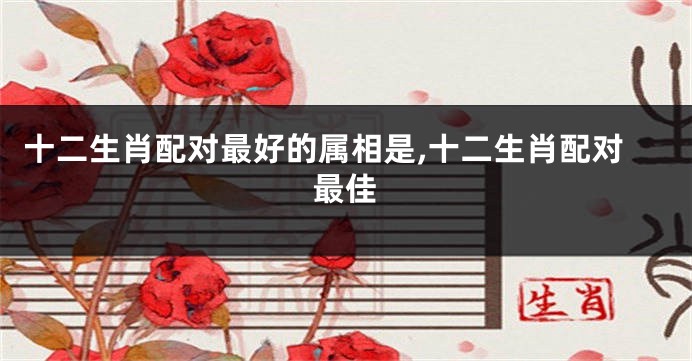 十二生肖配对最好的属相是,十二生肖配对最佳
