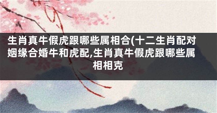 生肖真牛假虎跟哪些属相合(十二生肖配对姻缘合婚牛和虎配,生肖真牛假虎跟哪些属相相克