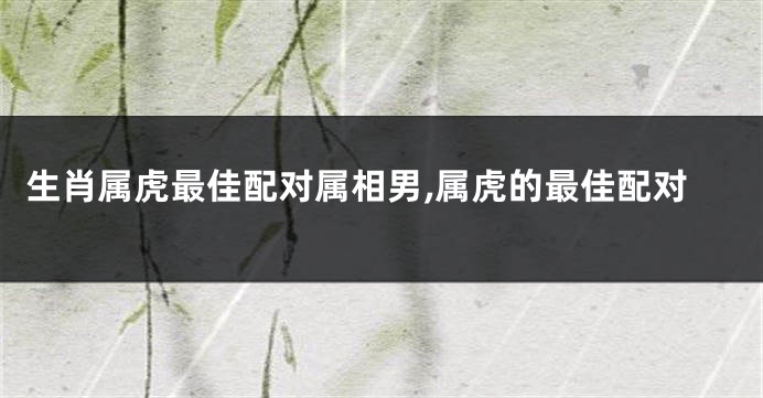 生肖属虎最佳配对属相男,属虎的最佳配对