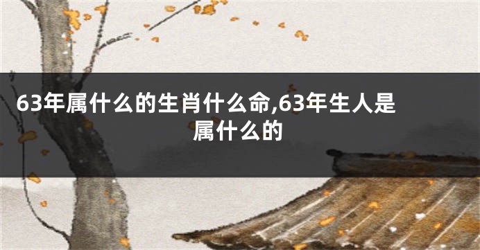 63年属什么的生肖什么命,63年生人是属什么的