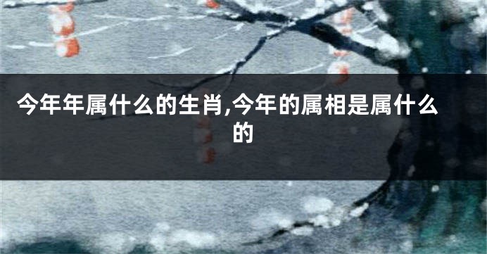 今年年属什么的生肖,今年的属相是属什么的