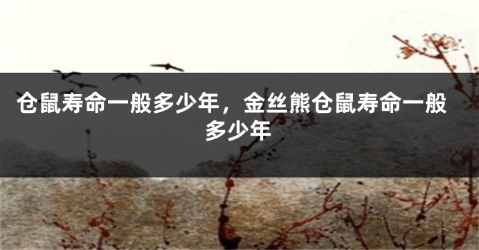 仓鼠寿命一般多少年，金丝熊仓鼠寿命一般多少年