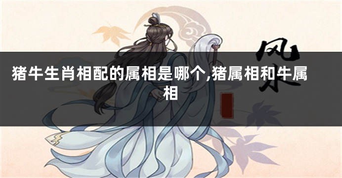 猪牛生肖相配的属相是哪个,猪属相和牛属相