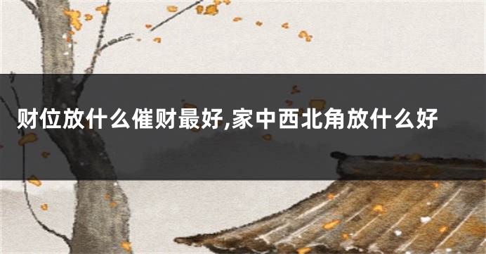 财位放什么催财最好,家中西北角放什么好