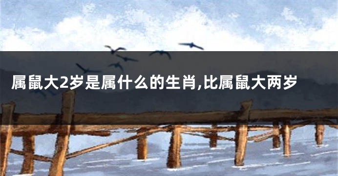 属鼠大2岁是属什么的生肖,比属鼠大两岁