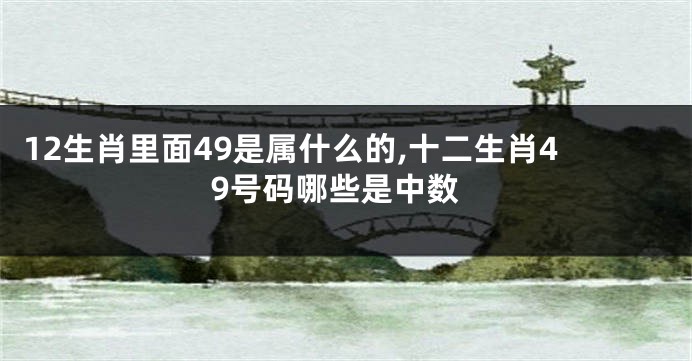 12生肖里面49是属什么的,十二生肖49号码哪些是中数