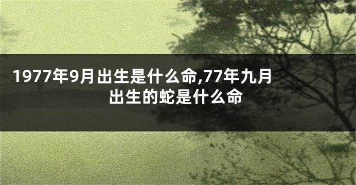 1977年9月出生是什么命,77年九月出生的蛇是什么命