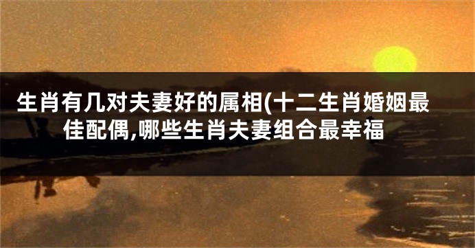 生肖有几对夫妻好的属相(十二生肖婚姻最佳配偶,哪些生肖夫妻组合最幸福