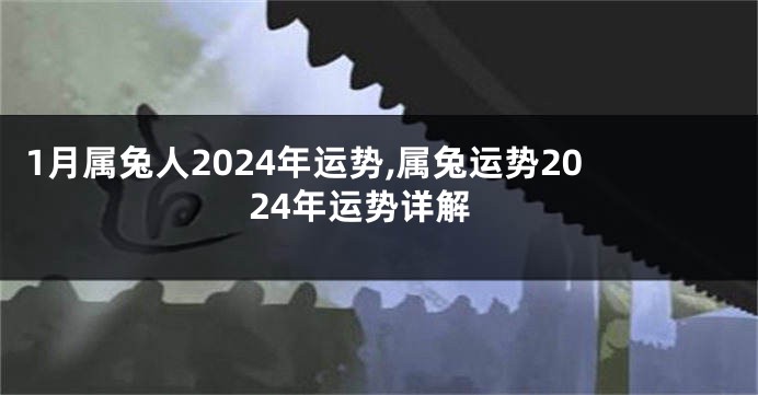 1月属兔人2024年运势,属兔运势2024年运势详解
