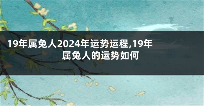 19年属兔人2024年运势运程,19年属兔人的运势如何