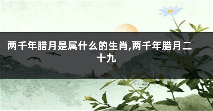 两千年腊月是属什么的生肖,两千年腊月二十九