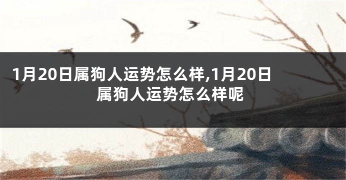 1月20日属狗人运势怎么样,1月20日属狗人运势怎么样呢
