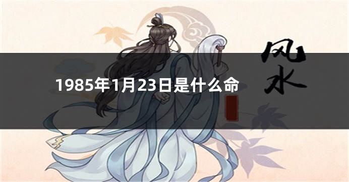 1985年1月23日是什么命