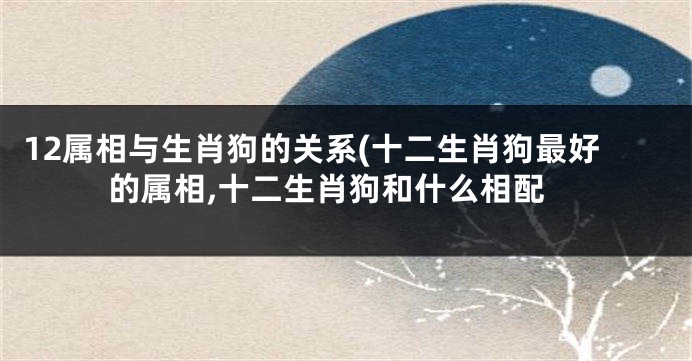 12属相与生肖狗的关系(十二生肖狗最好的属相,十二生肖狗和什么相配