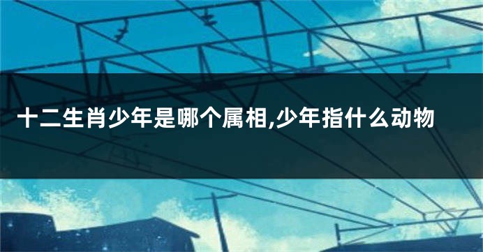 十二生肖少年是哪个属相,少年指什么动物