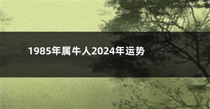 1985年属牛人2024年运势