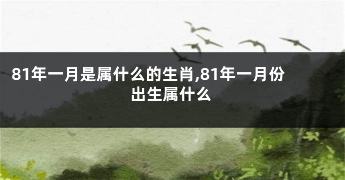 81年一月是属什么的生肖,81年一月份出生属什么