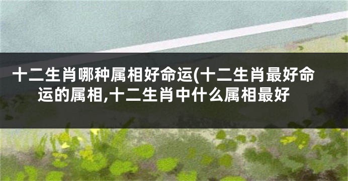 十二生肖哪种属相好命运(十二生肖最好命运的属相,十二生肖中什么属相最好