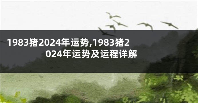 1983猪2024年运势,1983猪2024年运势及运程详解