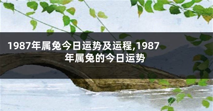 1987年属兔今日运势及运程,1987年属兔的今日运势
